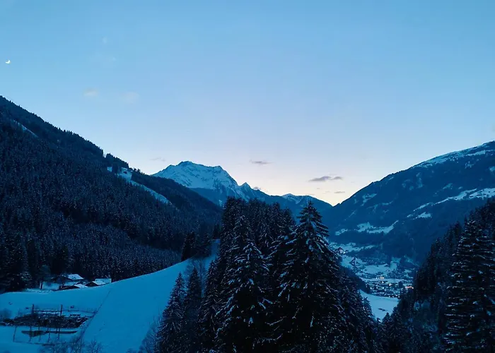 Zeit - Alpine Garden *